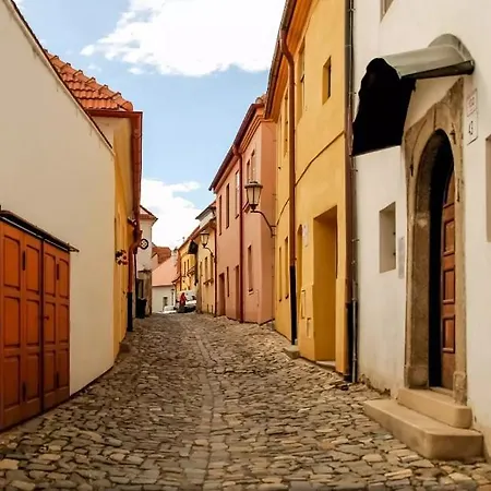 شقة Apartma Na Palirne